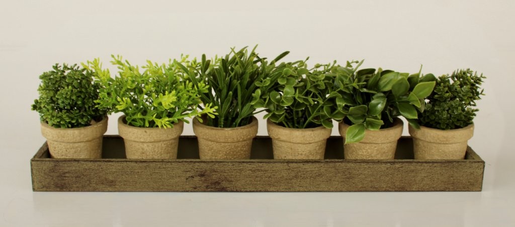 6 SMALL HERB POTS IN WOOD TRAY  13X45CM